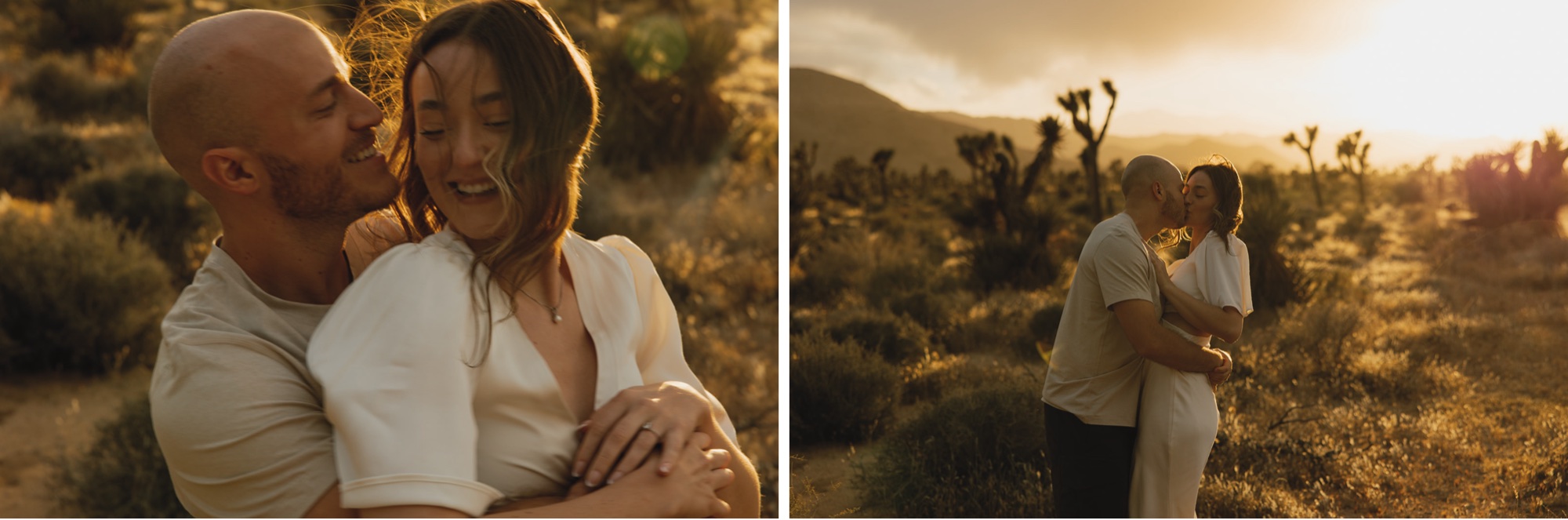 Joshua Tree National Park at Sunset