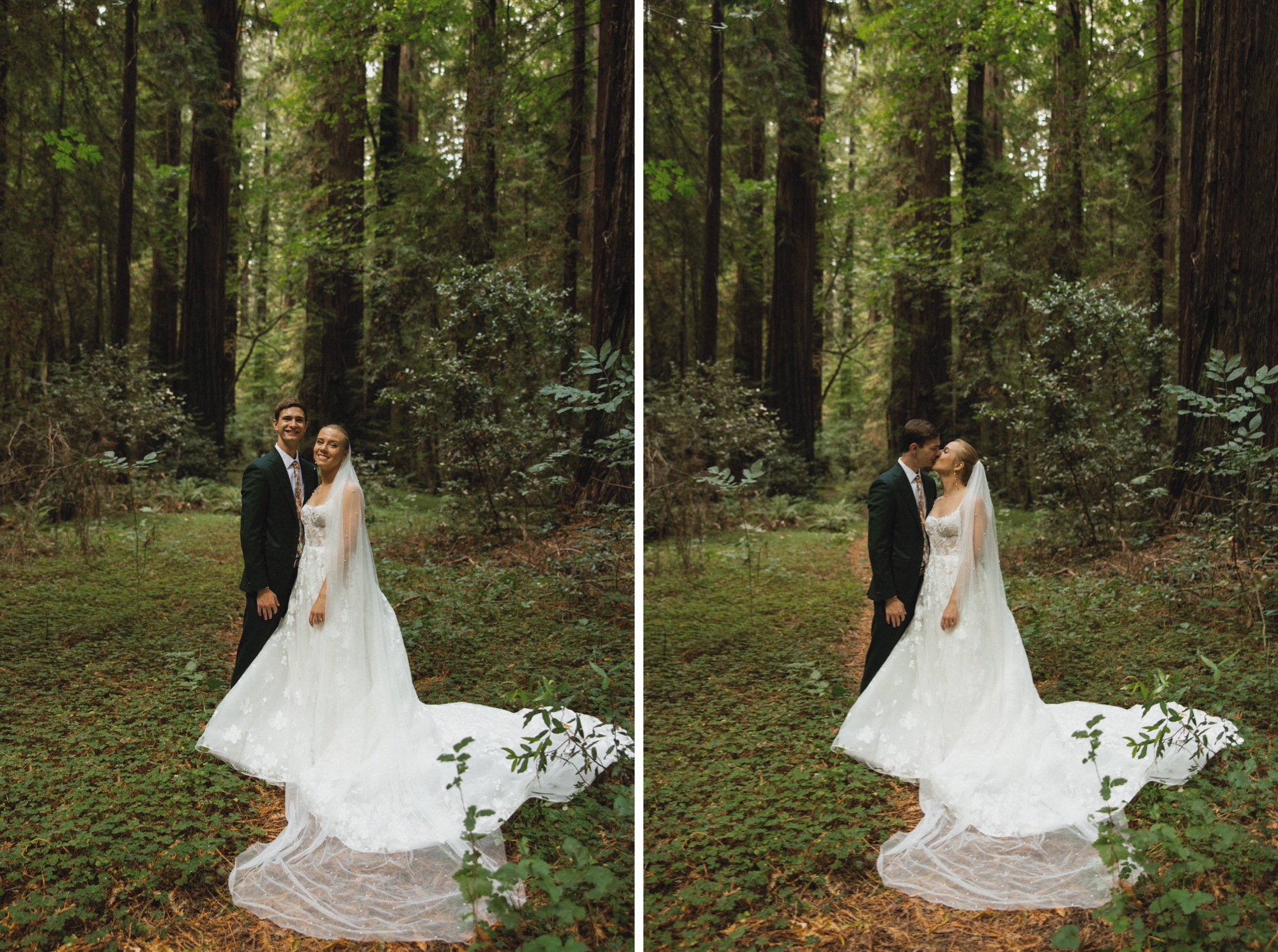 Northern California Redwoods wedding photographed by Iasis Kennedy Photography