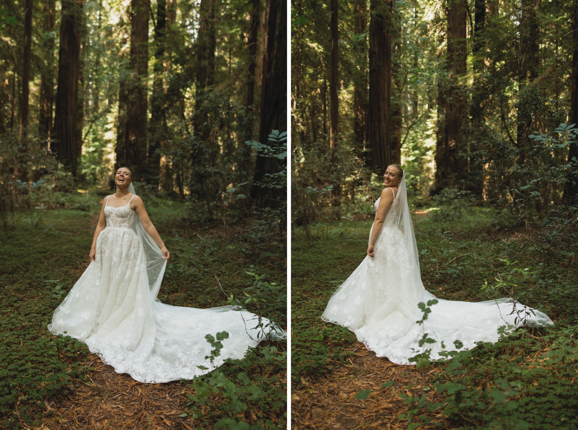 Northern California Redwoods wedding photographed by Iasis Kennedy Photography