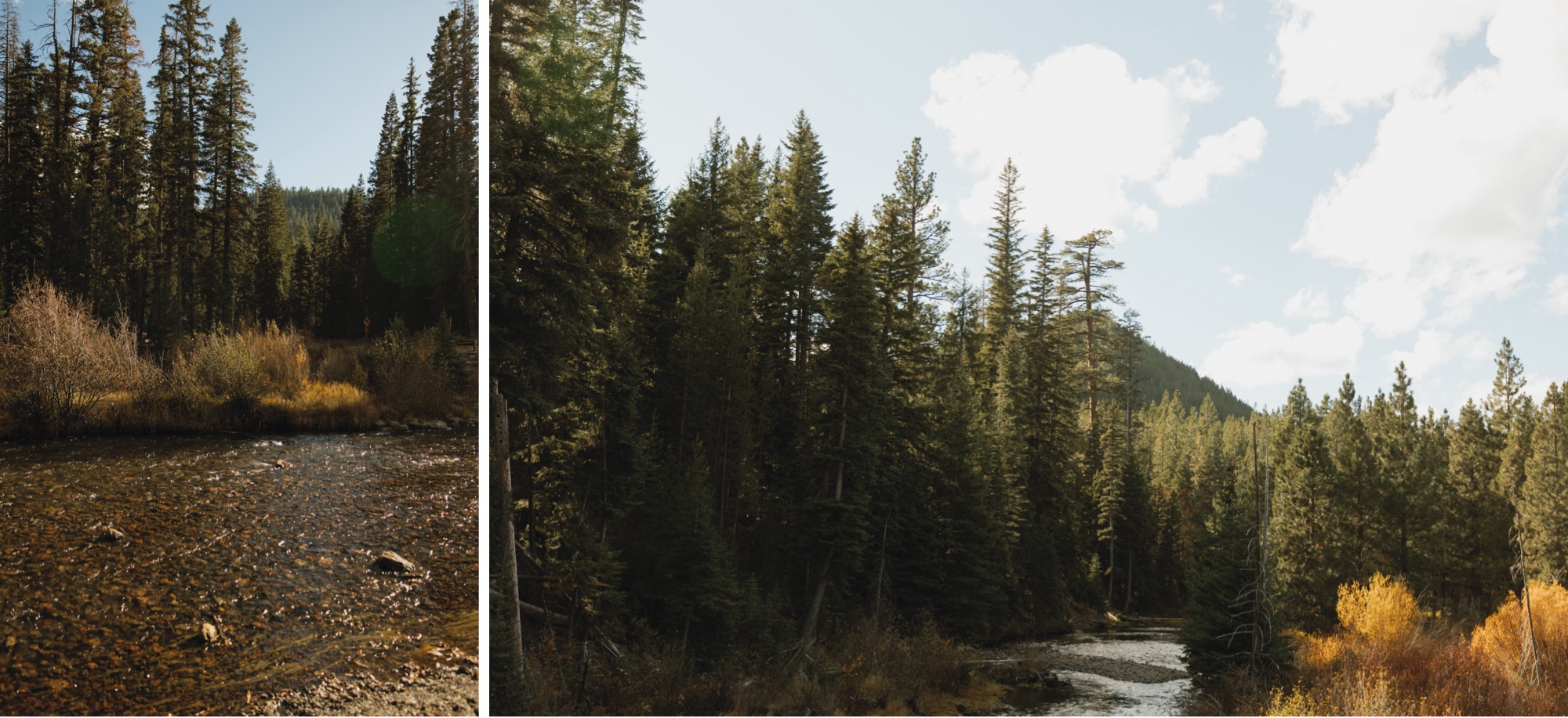 Oregon forest lodge wedding weekend